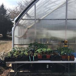 New Sarepta gardens, opening hours