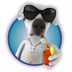 Chenil Lac Brome Kennel, West Brome, QC opening hours