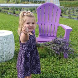 Homestead Lavender, Shubenacadie, NS opening hours