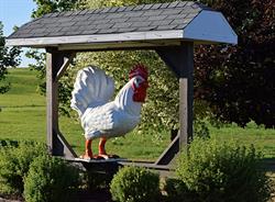 Les Poulets de grain du Kamouraska, Saint-Onésime, QC opening hours