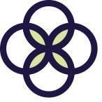 Essence Chiropractic - Dr Lisa Simpson McQuarrie, Waterloo, ON opening hours