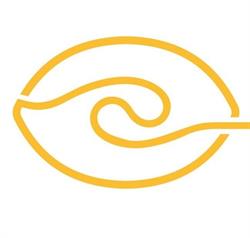 eyecareonwynford, Toronto, ON opening hours