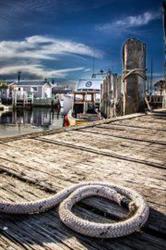 Taylor Made Tours, Eastern Passage, NS opening hours