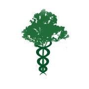 Elmdale Family Health Organization, St. Thomas, ON opening hours