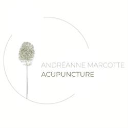 Andréanne Marcotte Acupuncture, Saint-Raymond, QC opening hours