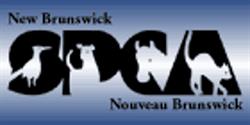 NB SPCA, Fredericton, NB opening hours