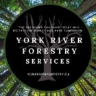 York River Forestry & Environmental Services, Bancroft, ON opening hours