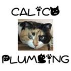 Calico Plumbing, Edgerton, AB opening hours