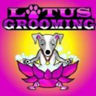 Lotus Grooming, Bouctouche, NB opening hours