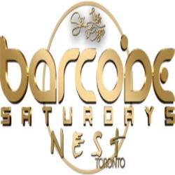 Barcode Saturdays, Toronto, ON opening hours