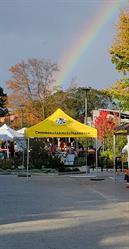 Creemore Farmers' and Craft Market, opening hours