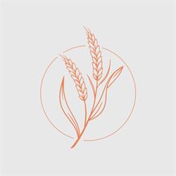 Prairie Naturopathic Clinic, Brandon, MB opening hours
