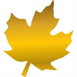 Canadian Real Estate Investment Club, Brampton, ON opening hours