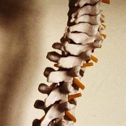 Haldimand Massage & Osteopathic Centre, Caledonia, ON opening hours