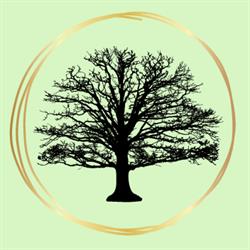 Transcend Wellness Studio by Amanda Dufour, RMT, Saint John, NB opening hours