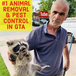 TSR Pest Control and Wildlife Removal Toronto, North York, ON opening hours