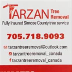Tarzan Tree Removal, Elmvale, ON opening hours