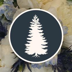 Spruce & Iron Events, Riverview, NB opening hours