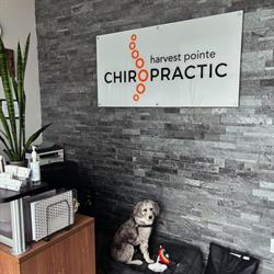 Dr. Caitlyn Charteris, Edmonton, AB opening hours