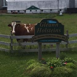 Gleann Holsteins, Antigonish, NS opening hours