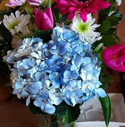 Driftwood Nursery and Flower Shop, Robinsons, NL opening hours