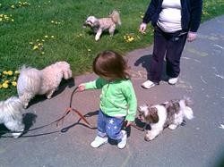 Surrey Dog Daycare, opening hours