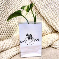 Sweet Joan. Co, Airdrie, AB opening hours
