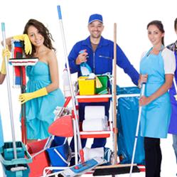 Y Cleaning Services Inc., Sherwood Park, AB opening hours