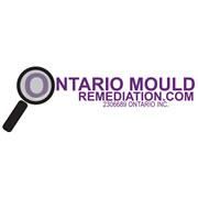 Ontario Mold Remediation, Welland, ON opening hours