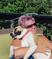 Loves Dogs - Grooming, High River, AB opening hours