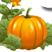 Smoky Lake Regional Chamber of Commerce Association, opening hours