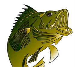 Catch of the Week, Edmonton, AB opening hours