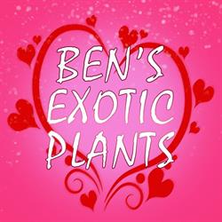 Bens Exotic Plants, Norwich, ON opening hours