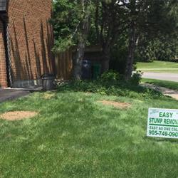 Easy Stump Removal Inc., Cheltenham, ON opening hours