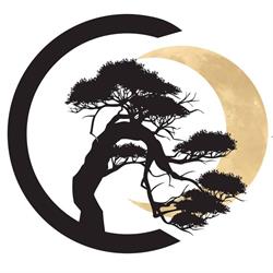 KanZen Games Sport & Collectibles, Mississauga, ON opening hours