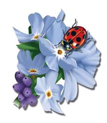 Ladybug Wellness, Prince George, BC opening hours
