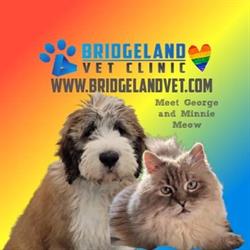 Bridgeland Vet Clinic, Calgary, AB opening hours