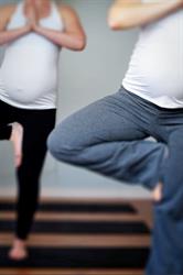 Yoga Nest, Hamilton, ON opening hours
