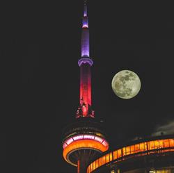 Condo Club Toronto, opening hours