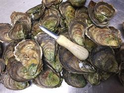 The Malpeque Oyster Barn, Kensington, PE opening hours