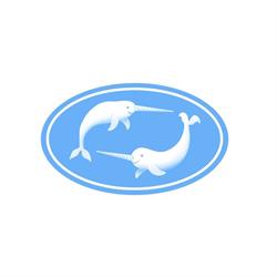 Narwhal Business Solutions Inc., Charlottetown, PE opening hours
