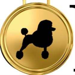 Champion Pet Grooming, Camrose, AB opening hours