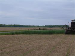 Kaiser Lake Farms, Napanee, ON opening hours