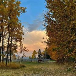 Dragonfly Ranch and Riding Arena, Water Valley, AB opening hours