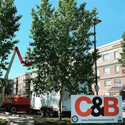 C & B Maintenance, Fort McMurray, AB opening hours