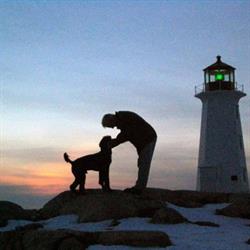 Leeward Standard Poodles, Glen Haven, NS opening hours