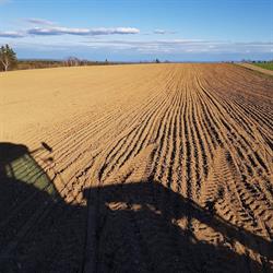 Rideout'S Farm Inc., Cormack, NL opening hours