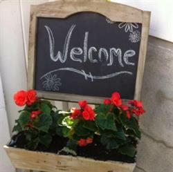 Tammy'S Pet Salon, Thornloe, ON opening hours