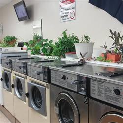 Cooksville Coin Laundry, opening hours