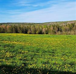 Jordan's Natural Acres Farm, Wolfville, NS opening hours